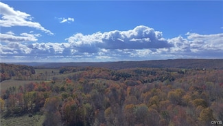 L22 Lamb Rd, Brookfield, NY 13485
