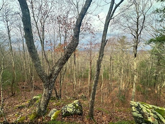 Lot 46 Bear Track, Gap Mills, WV 24941
