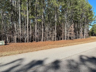 LOT 61/62 Lighthouse Pointe, Lincolnton, GA 30817
