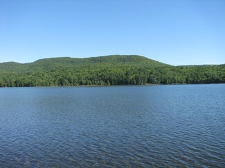 141 Guinea Ridge Rd, Gilmanton, NH 03237