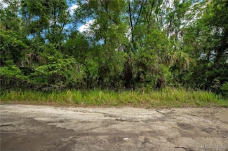 15085 W Roosters Crow Rd, Inglis, FL 34449
