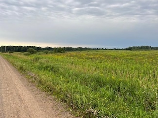 xxx240tha Olympic St, Brook Park, MN 55007