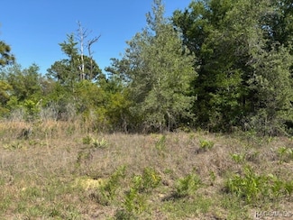 1288 W Riley Dr, Citrus Springs, FL 34434