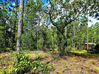 00 SE 21st Place, Morriston, FL 32668