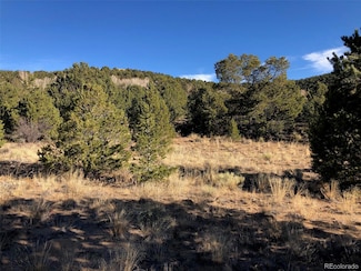 14771 Granite Pkwy Unit 5, Salida, CO 81201