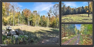 64 Carriage Knolls Rd, Chestertown, NY 12817