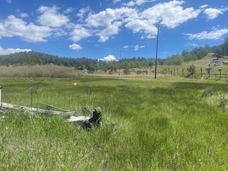 80 Yuma Path, Lake George, CO 80827