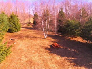 00 Hall Rd, Nelson, NY 13409
