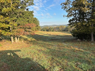 Tbd County Road 14-252, Drury, MO 65638