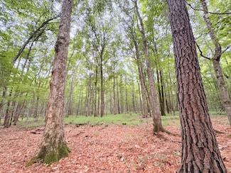 TBD Hwy 190 W, Jasper, TX 75951