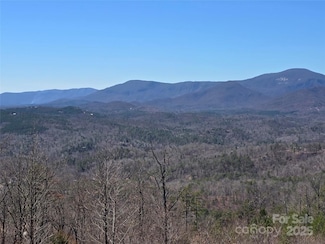 00 Golden Ridge Dr Unit 209, Lake Lure, NC 28746