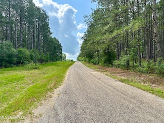 0 Old State Line Rd, Tylertown, MS 39667