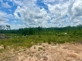 490 County Road 20 E, Marbury, AL 36051