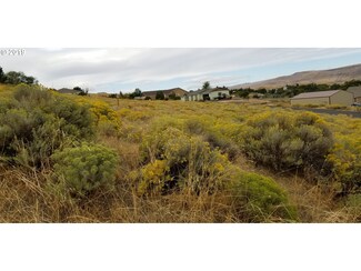 1305 Childers Rd, Arlington, OR 97812
