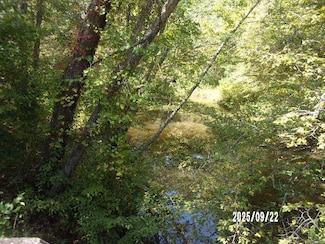 32-4 Mulberry Rd, Foneswood, VA 22572