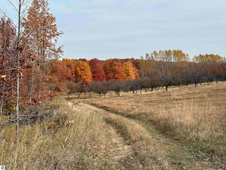 Parcel 2 S Karnes Rd, Empire Township, MI 49636