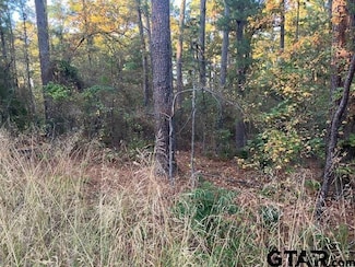 1657 Pineview Ln, Hideaway, TX 75771