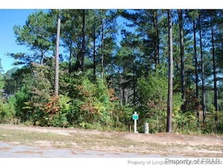 132 Broadlake (634) Ln, Spring Lake, NC 28390