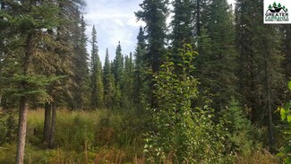 NHN Aurora Borealis Ln, Ester, AK 99709