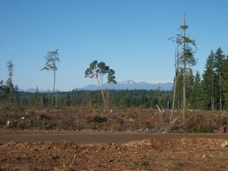 3020 Mason Benson Rd E, Grapeview, WA 98546