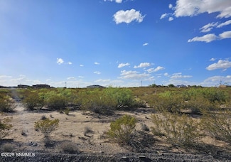 30 Tucson Ave, Las Cruces, NM 88012