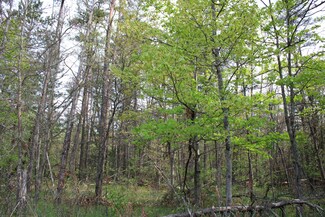 Lot #7 Hughes Lake Rd, Rose City, MI 48654