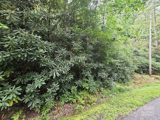 Lot 12 Deer Ridge Trail Unit 12, Marion, NC 28752