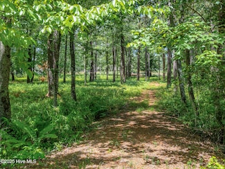 16 Whithorn Ct, Pinehurst, NC 28374