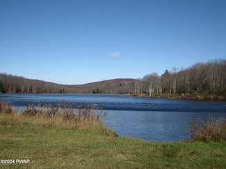 0 Scott Center Rd, Starrucca, PA 18462