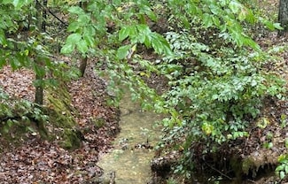 0 Cave Branch Rd Unit 22030548, Dickson, TN 37055