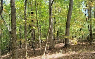 31-A&B Mountain View Ln, Hayesville, NC 28904