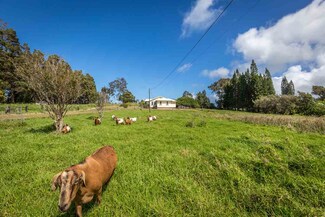 2760 Kaupakalua Rd, Haiku, HI 96708