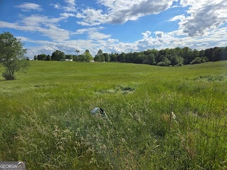 LOT 3 Smith Loop, Demorest, GA 30535