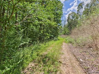 Lot 142 Crestwood Dr, Wappapello, MO 63966