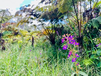 0 Road 6 Unit 715221, Volcano, HI 96785