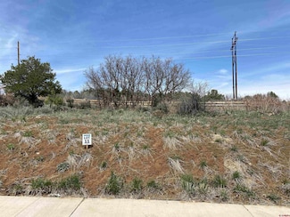 95 Salt Brush St, Durango, CO 81301