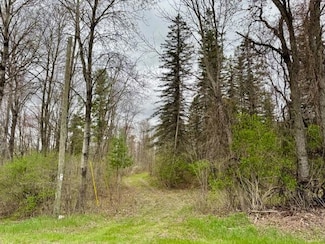 13+/- 160th Ave, Hersey, MI 49639