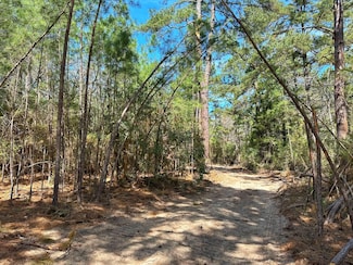 0 County Road 292, Buffalo, TX 75831