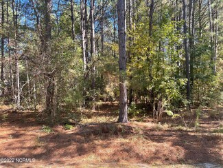 849 Thrush Dr, Vass, NC 28394