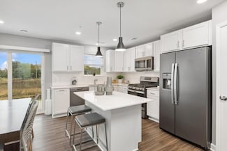 21635 Magnolia Way, Farmington, MN 55024