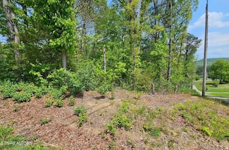 0 Sutherland Dr Unit 240357, Helenwood, TN 37755