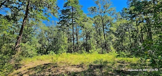 TBD Zed Creek Rd, Lufkin, TX 75904