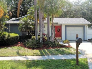 818 Glenfield Dr, Palm Harbor, FL 34684