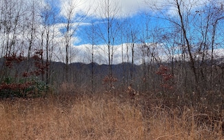 Lot G2 Georgianna Ln, Bryson City, NC 28713