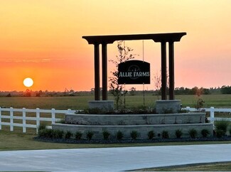 Lot 18 Allie Ln, Dayton, TX 77535