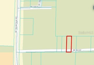 0 SE 110th St, Ocklawaha, FL 32179