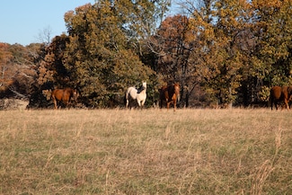 7252 Northwest Hwy, Fairview, TN 37062