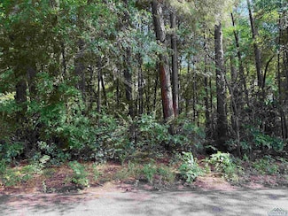 801 Ethel St, Longview, TX 75602