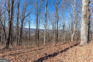 LT 24 Rocky Knob Estates, Young Harris, GA 30582
