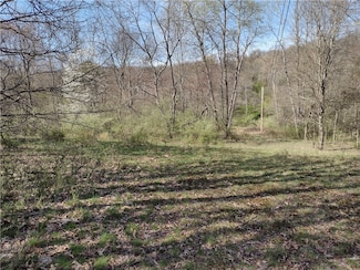 00 Tenacity Trail Off Wright Rd, Adams Township, PA 16046